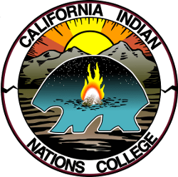 CINC Logo CINC Logo